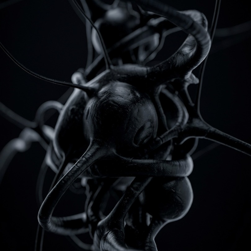 3. First Feed (A): Parasitic artwork