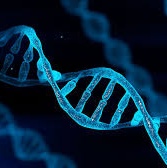 Image for mashups songs 