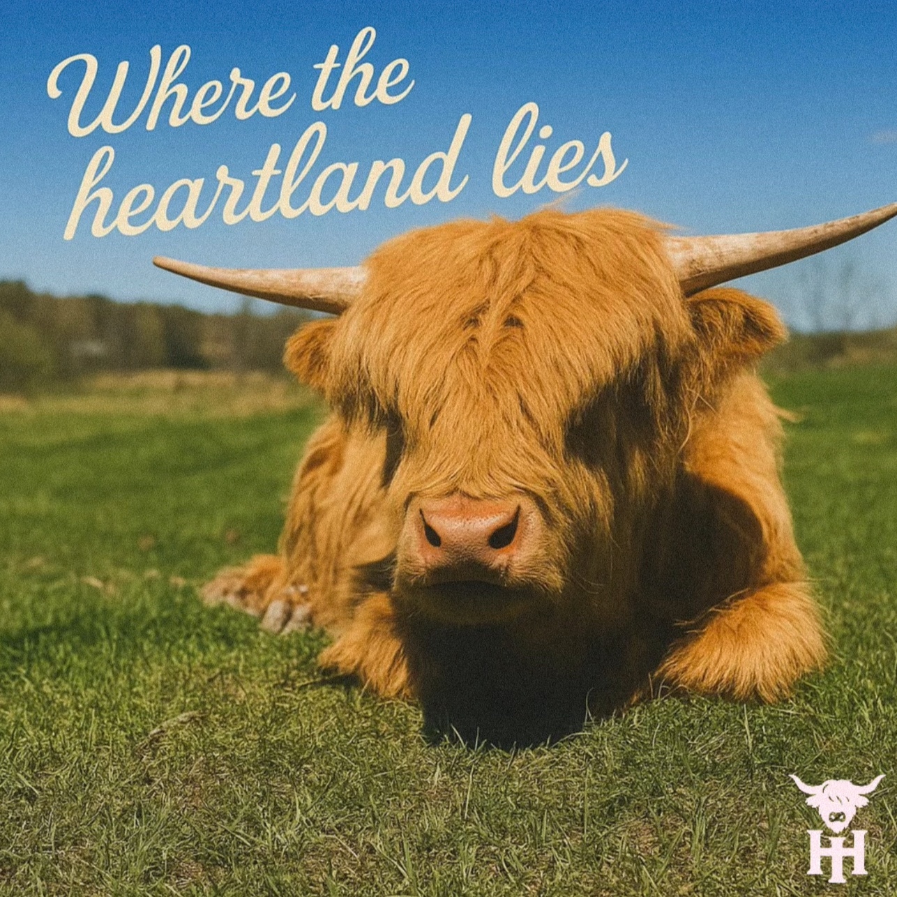 Playlist cover art