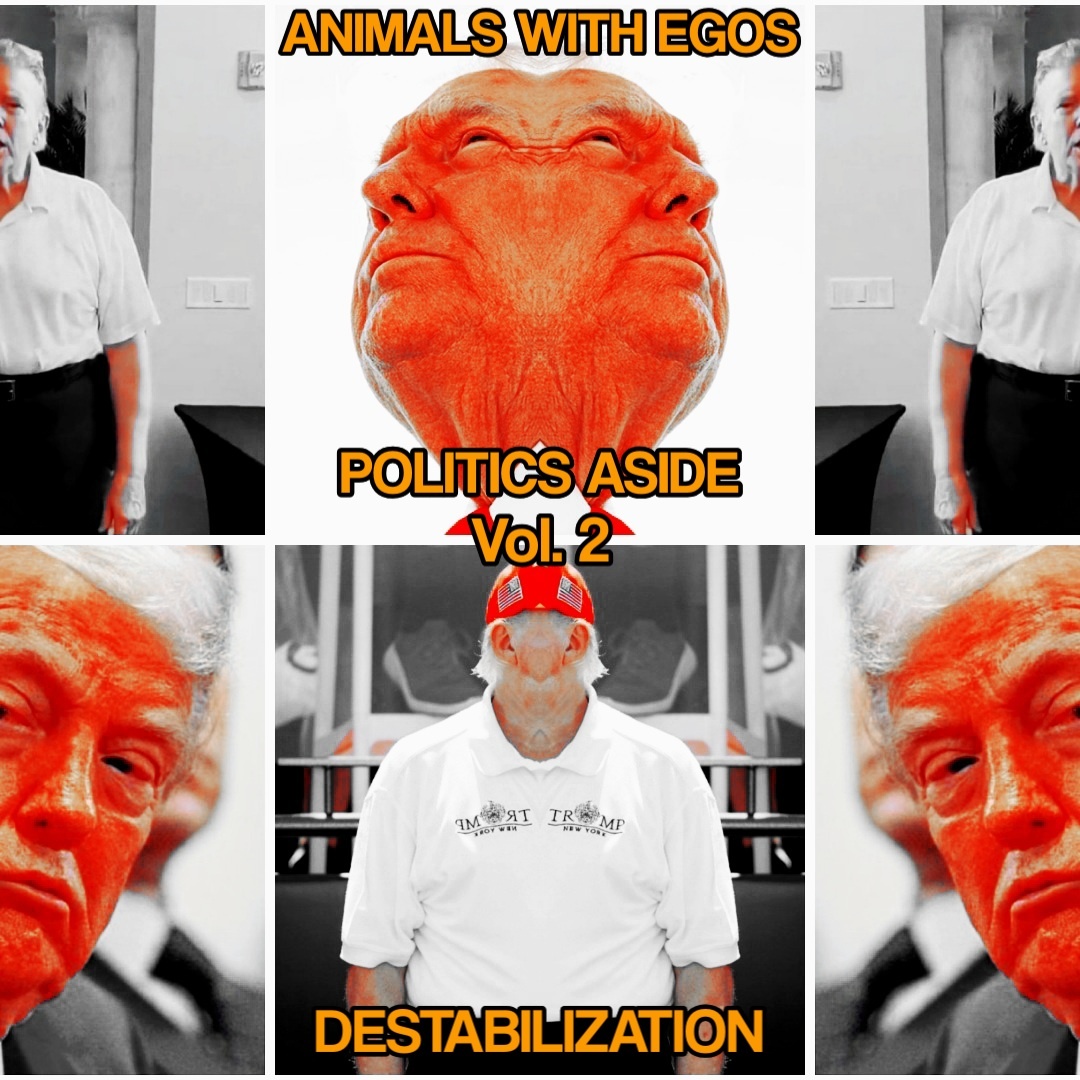 Image for Politics Aside Vol. 2: Destabilization