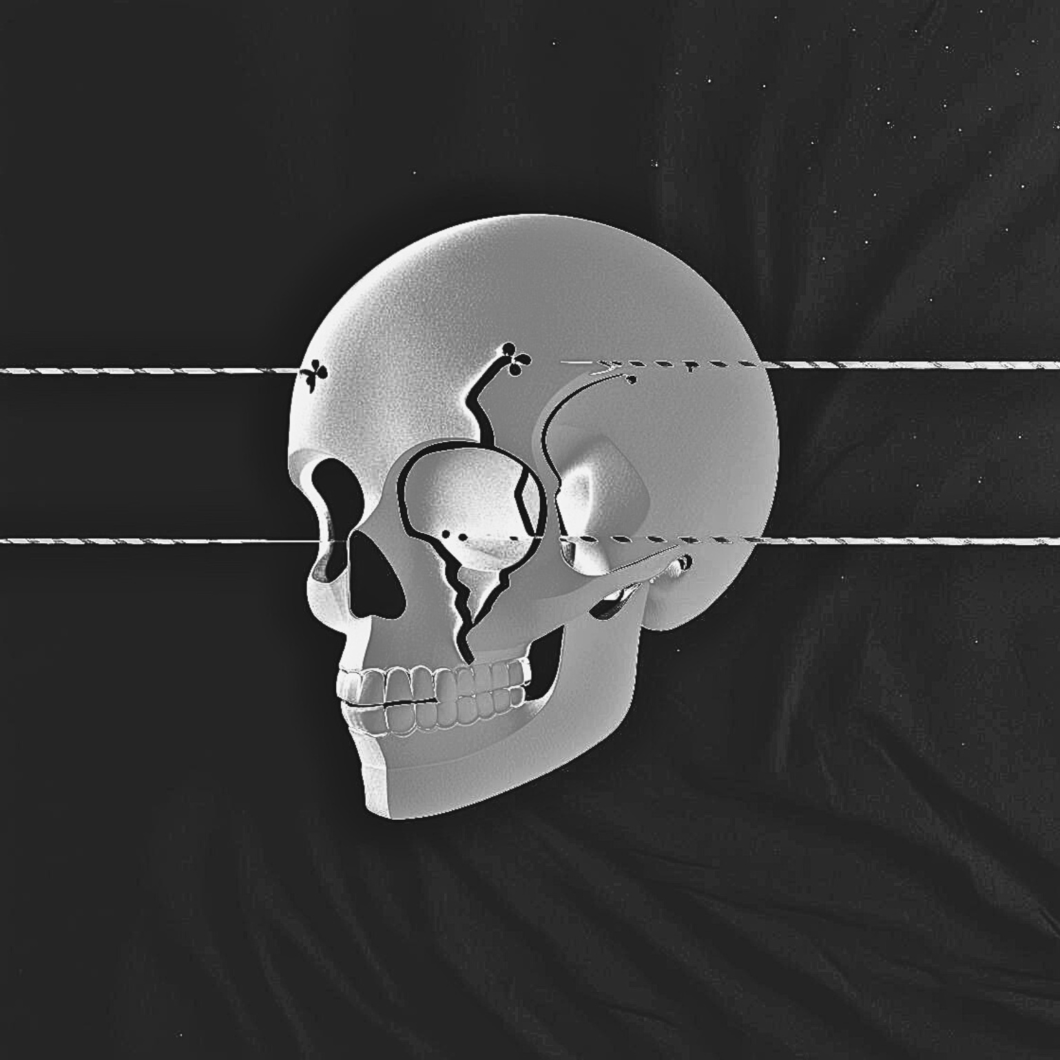 Image for ON A THREAD