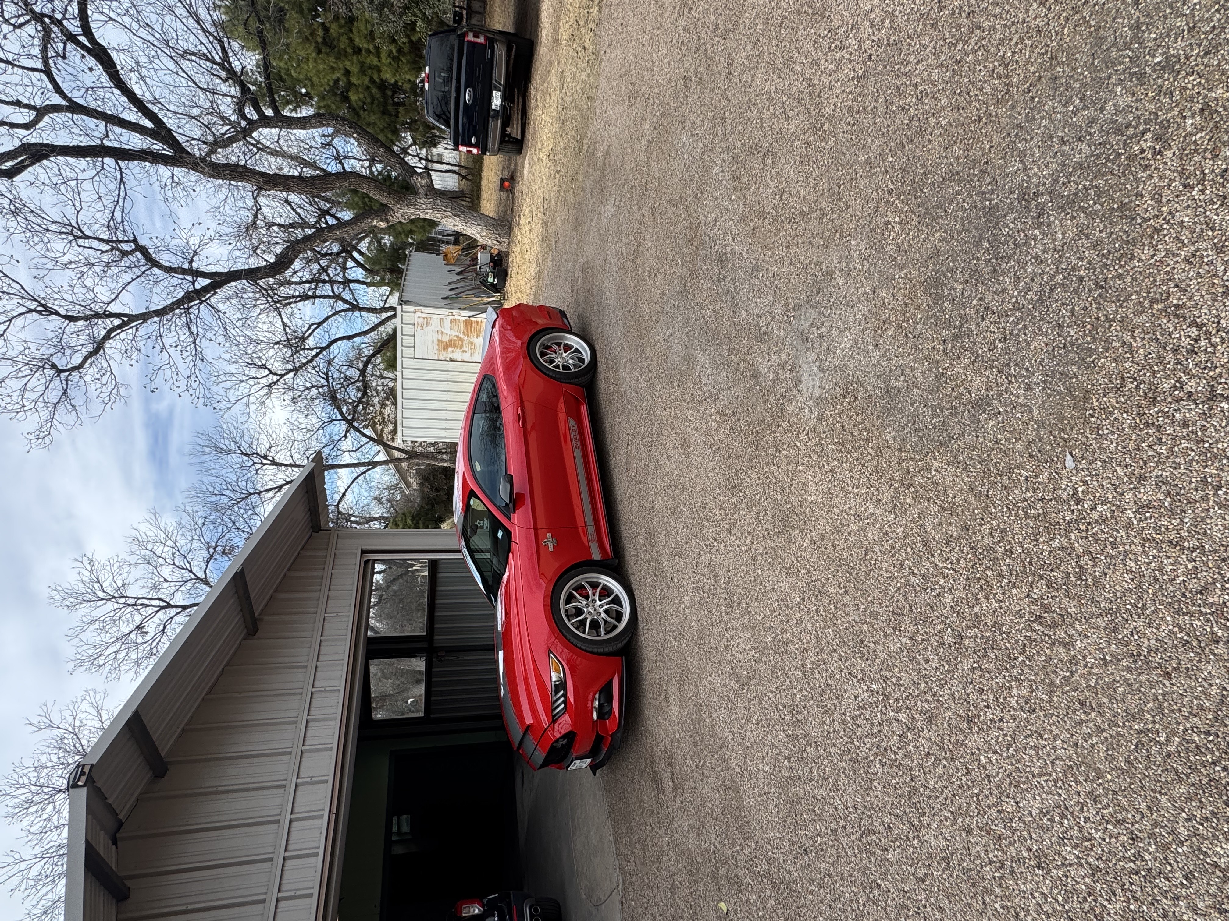 Image for My Favorite 