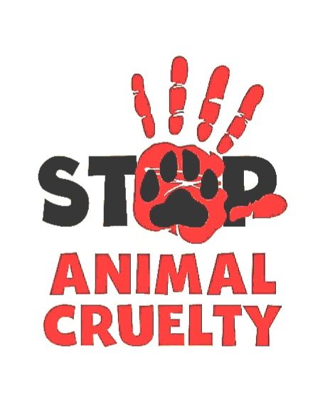 (THIS CRUELTY HAS TO STOP) artwork