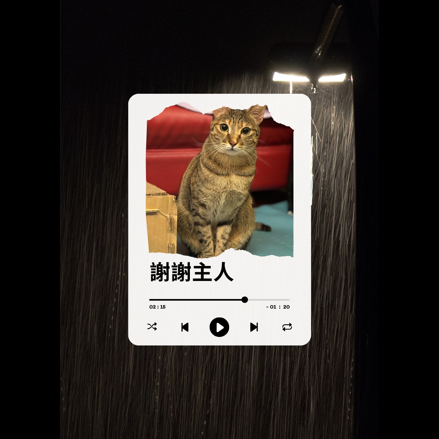 Image for 貓咪故事