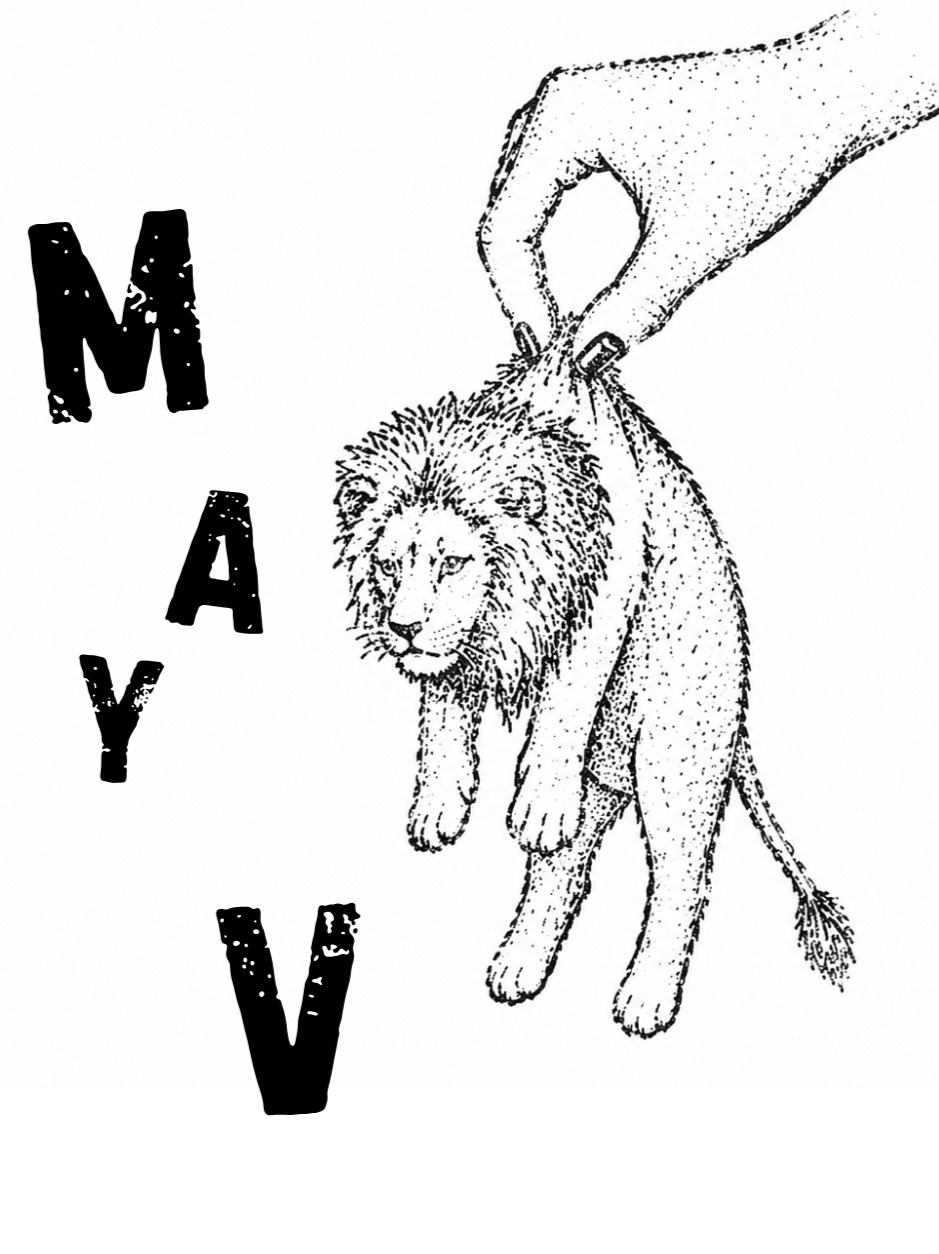 D.Lion artwork