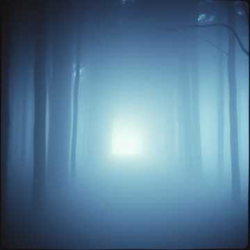 Image for About wandering, and loneliness OST