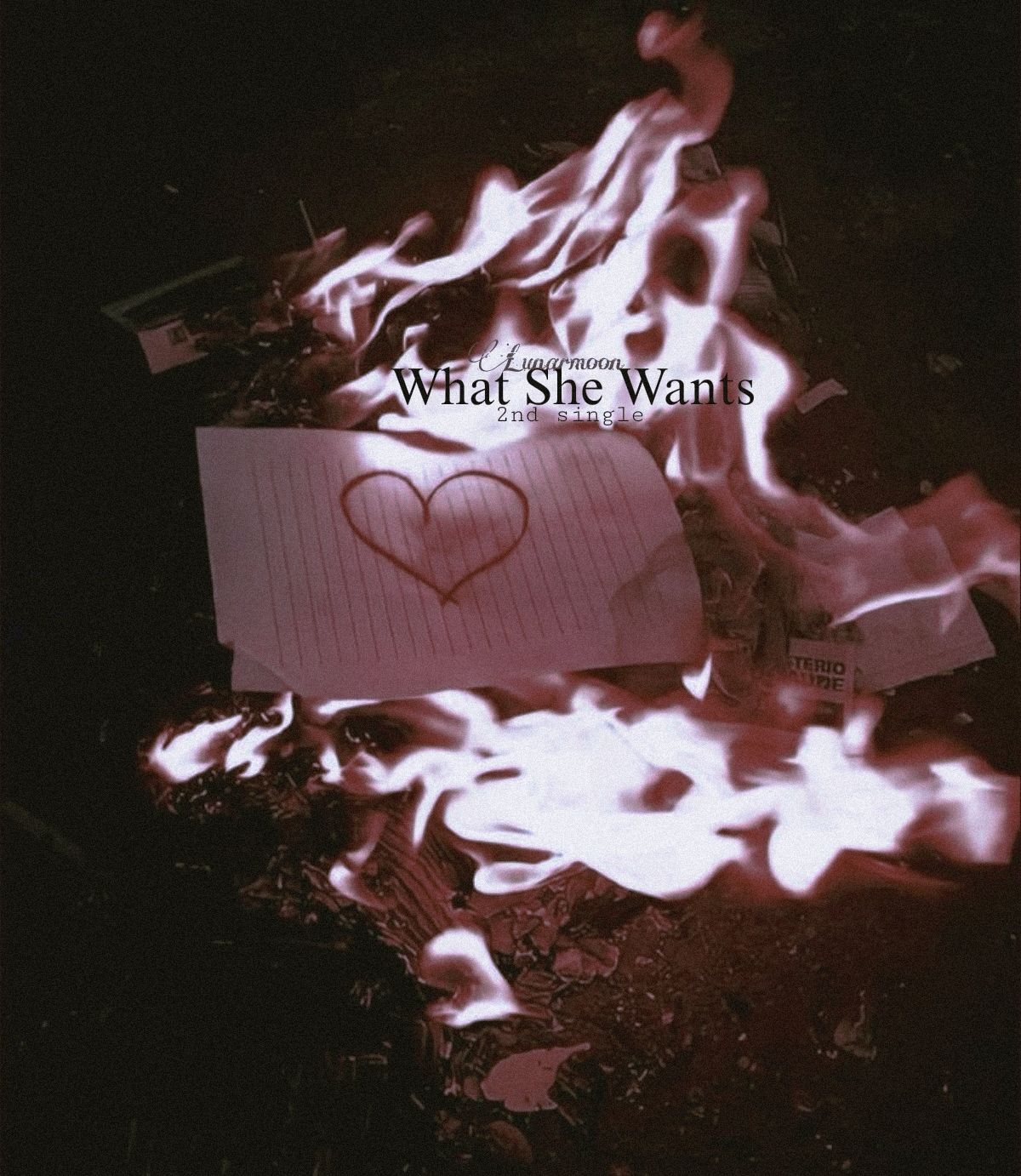 Image for WHAT SHE WANTS