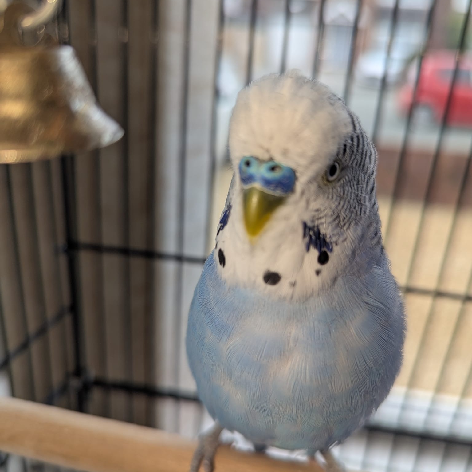 Image for BeL 3d Sky Music Production