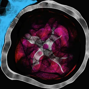 Profile picture for Lethargy