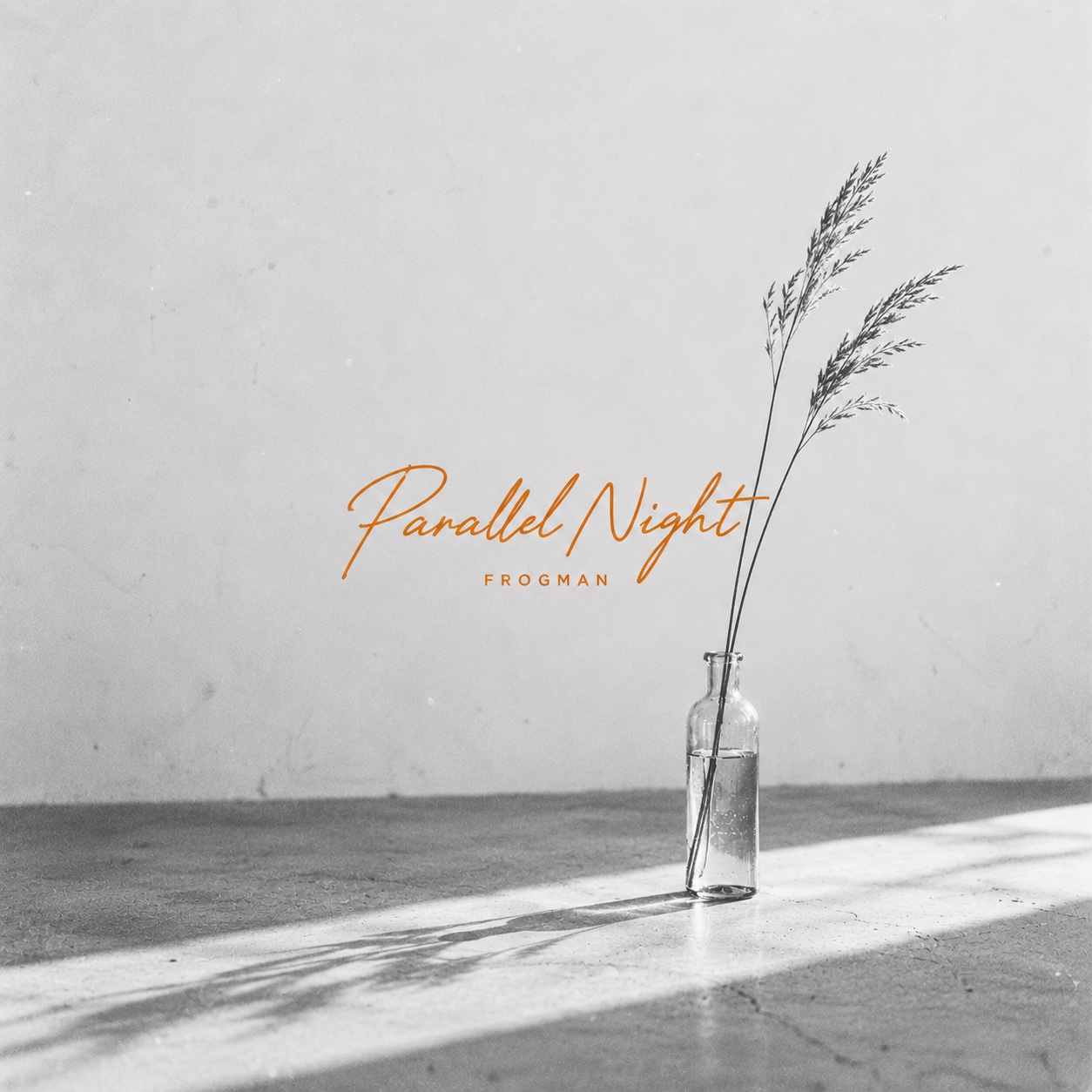 Parallel night artwork