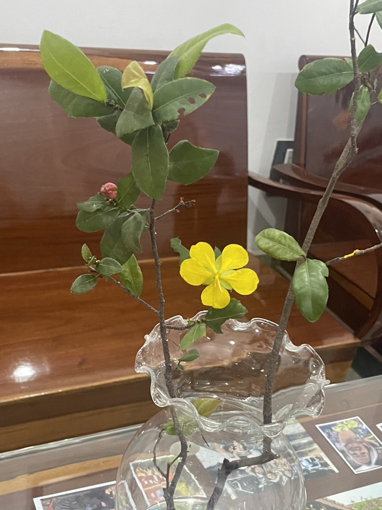 Em Của Ngày Xưa artwork