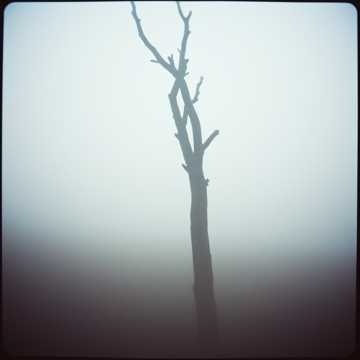 Image for Big Fat Lovely