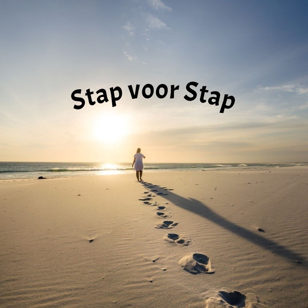 Image for Best of SUNO followers