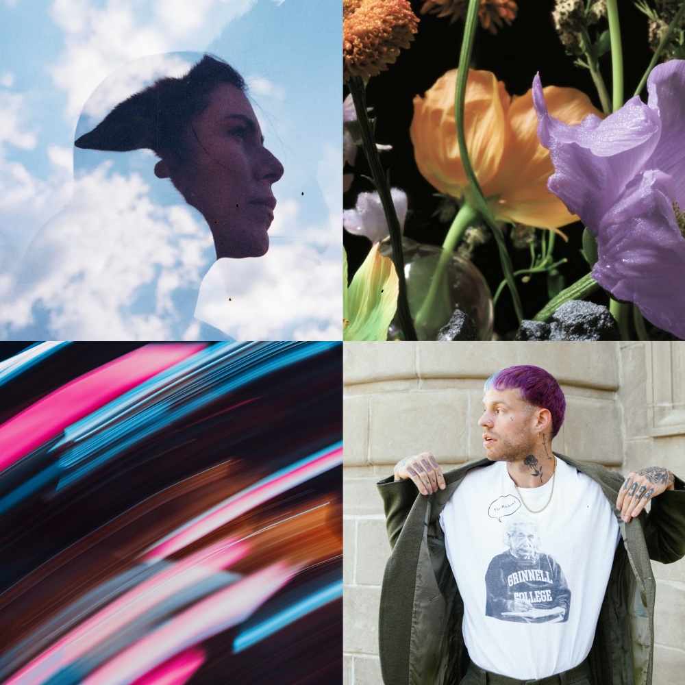 Image for Staff Picks