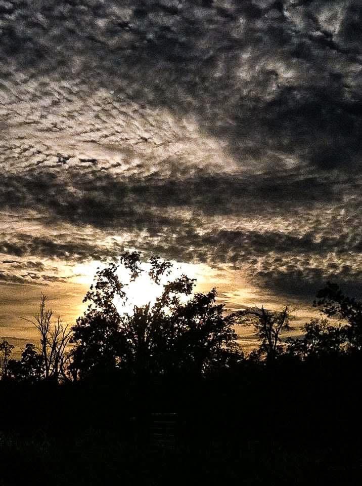 Image for Classical Pieces 