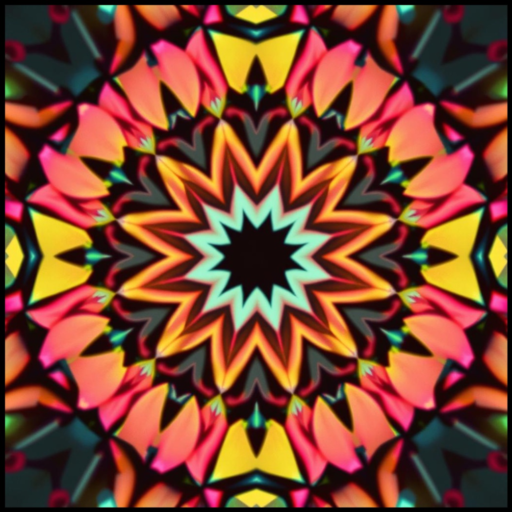 Persona image for Untitled Persona