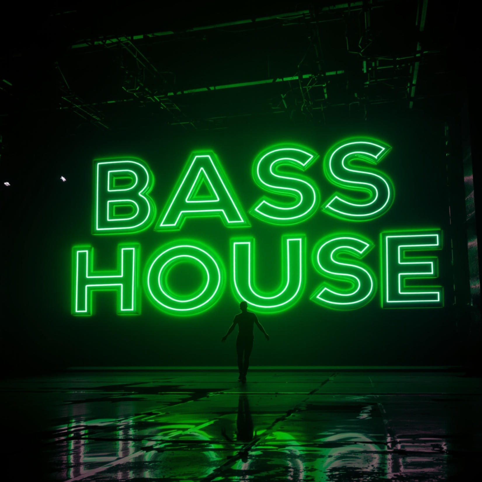 Image for Bass House