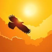 Image for Plume de Légende