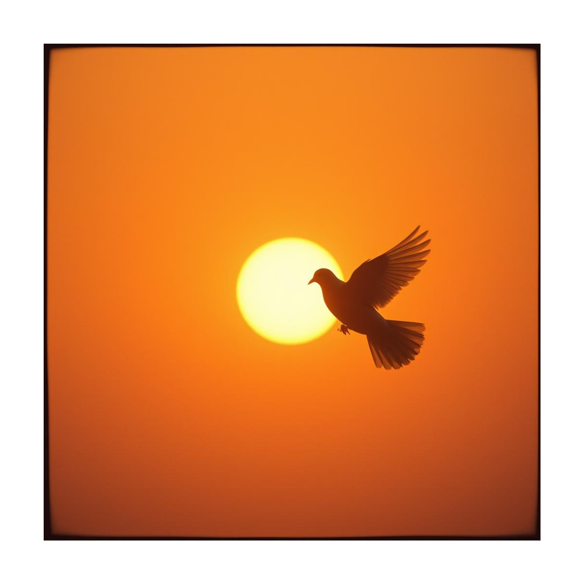 Song Cover Image