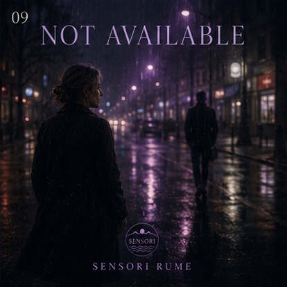 09 — Not Available artwork