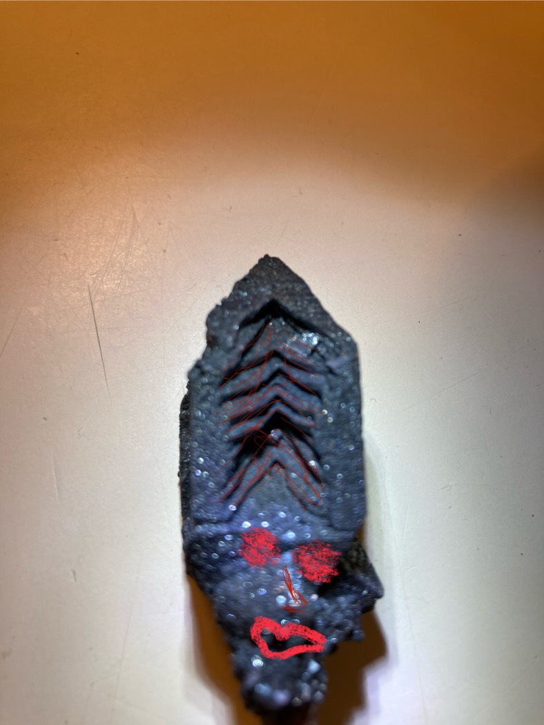 Image for Electronica 