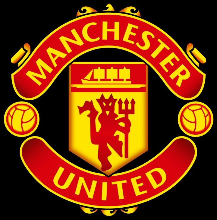 RED DEVILS RISE artwork