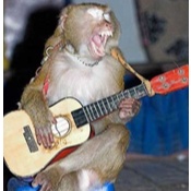 Image for Шутки