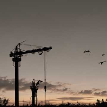 Image for краны (cranes)  -Ваганыч-