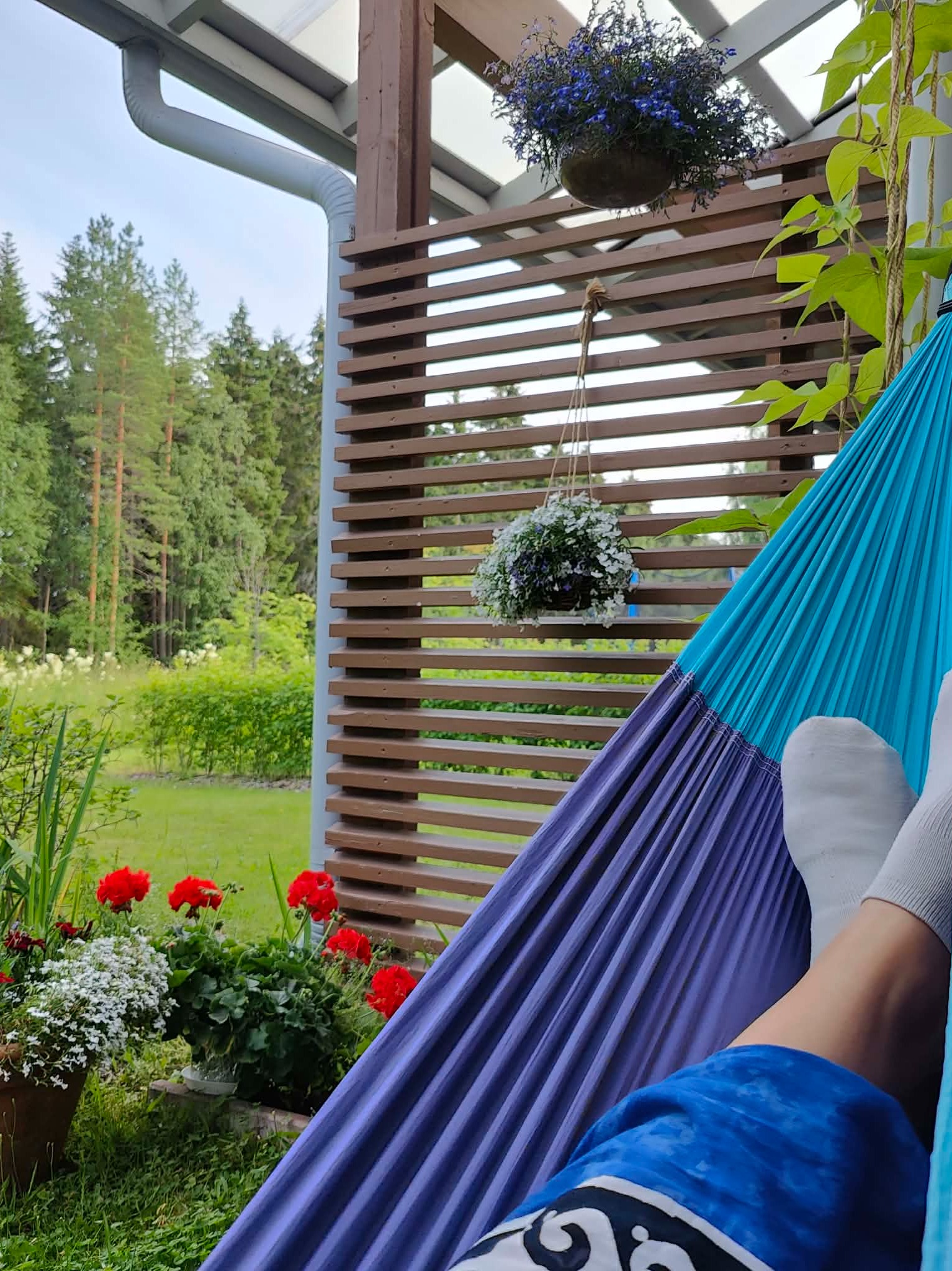 Hammock in July (2) artwork