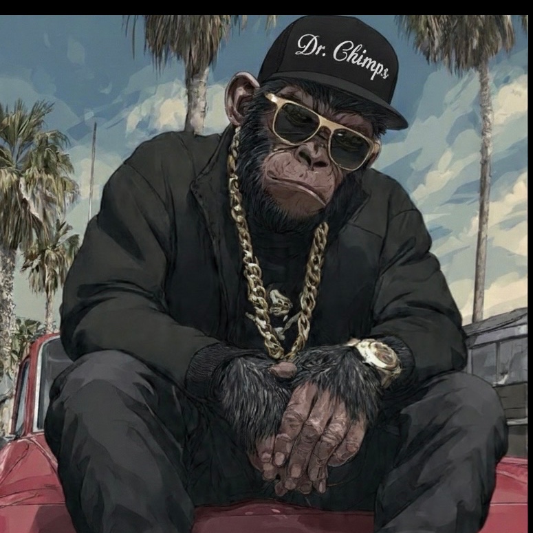 Image for Dr Chimps Hip Hop Vibes