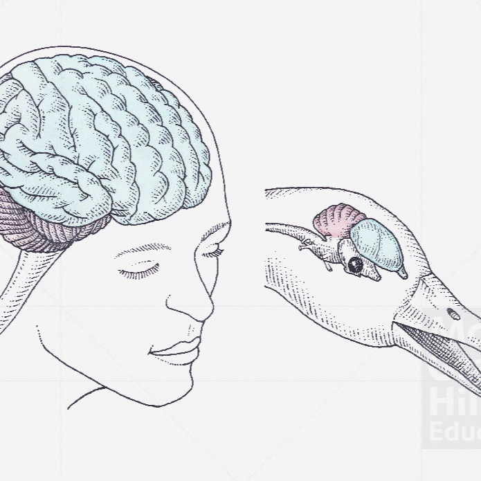 Image for current favs 10/25