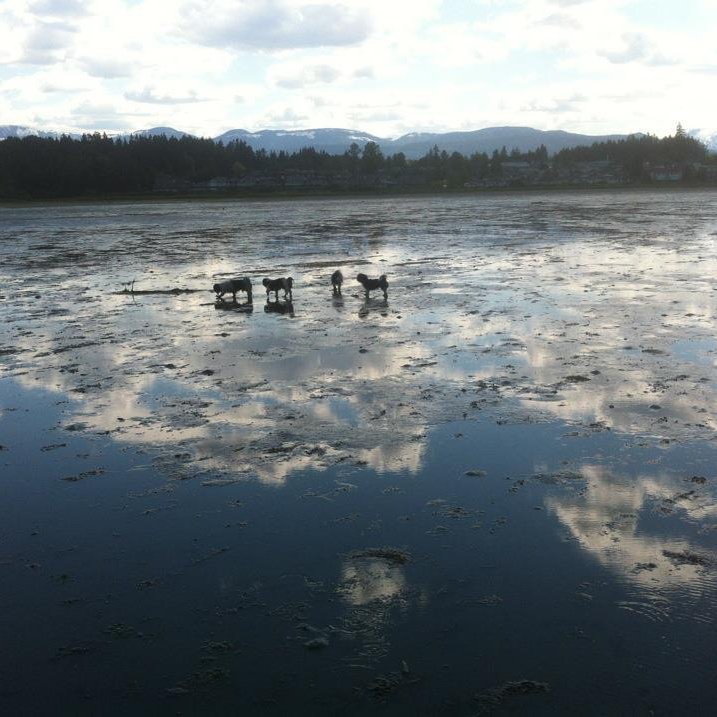 Image for Tik Tok Twenty