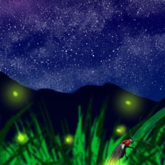 星の木ホタル artwork