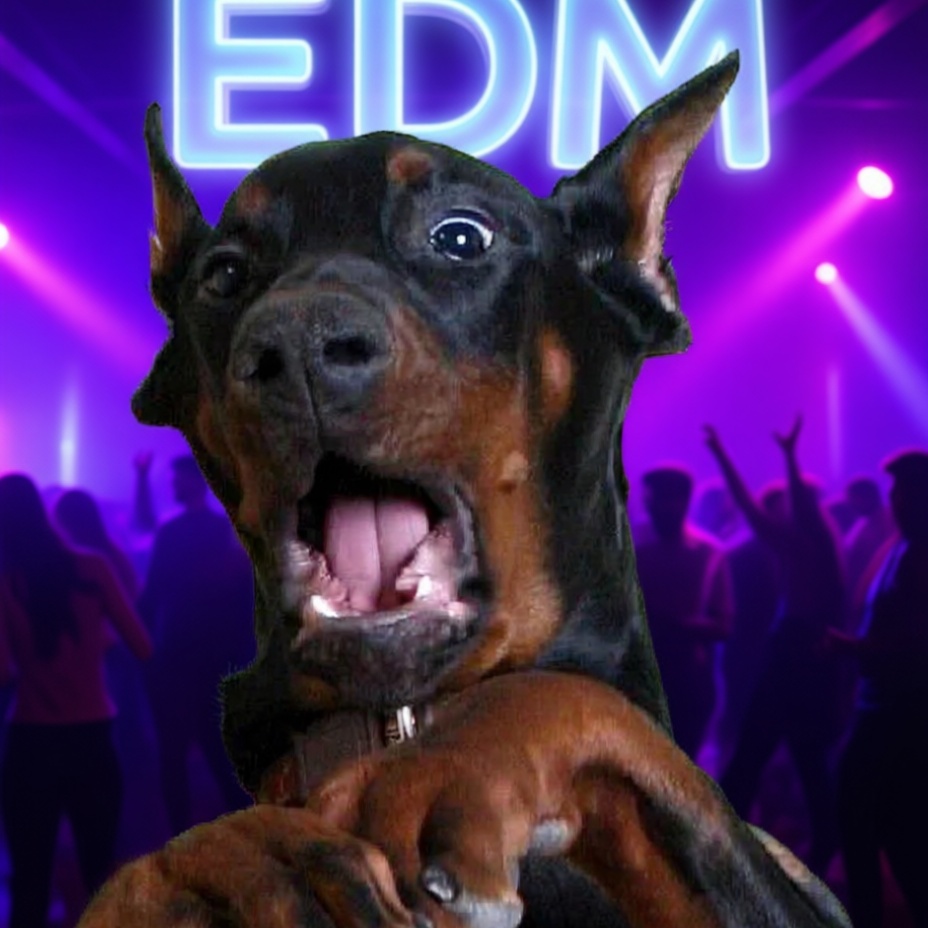 Image for Dance music