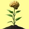 Cover image for Mind Hell Bean +2 - REkzkaRZ