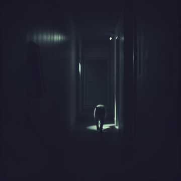 Image for The Dark End