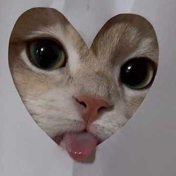 Image for ❤