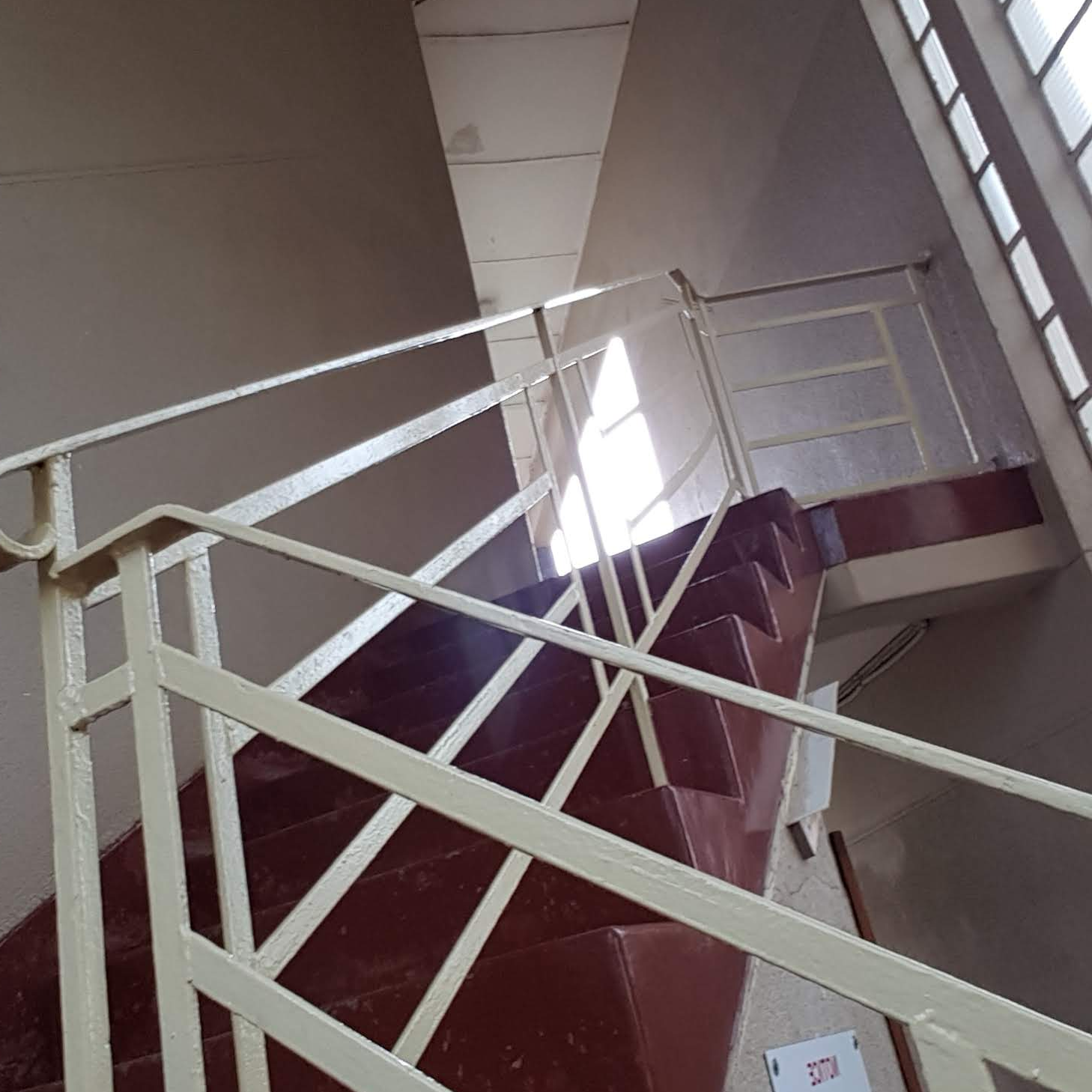 Profile picture for Raine Carosin