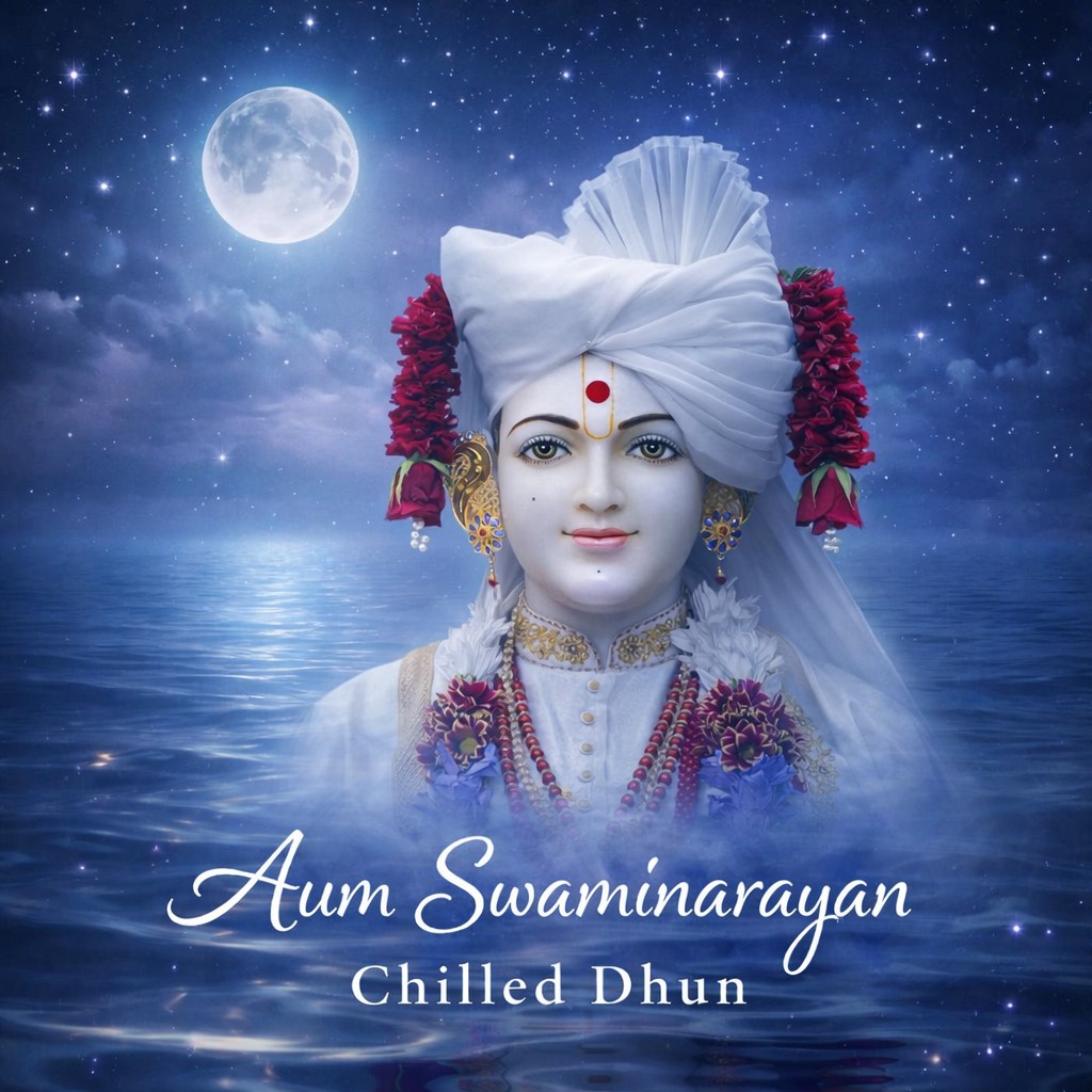 S. Dhun 11 - Chill (F) artwork