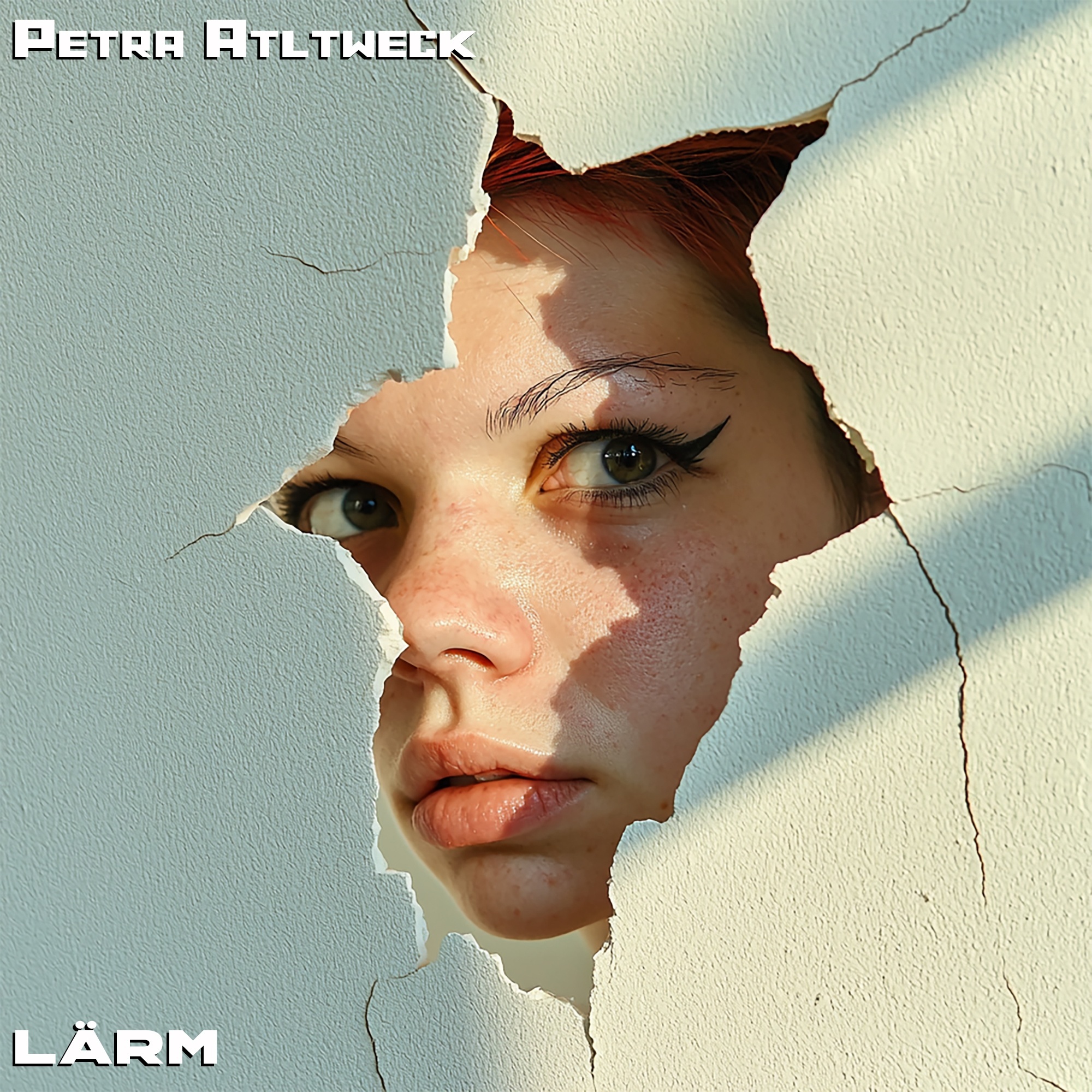 Image for Petra Altweck -  Lärm