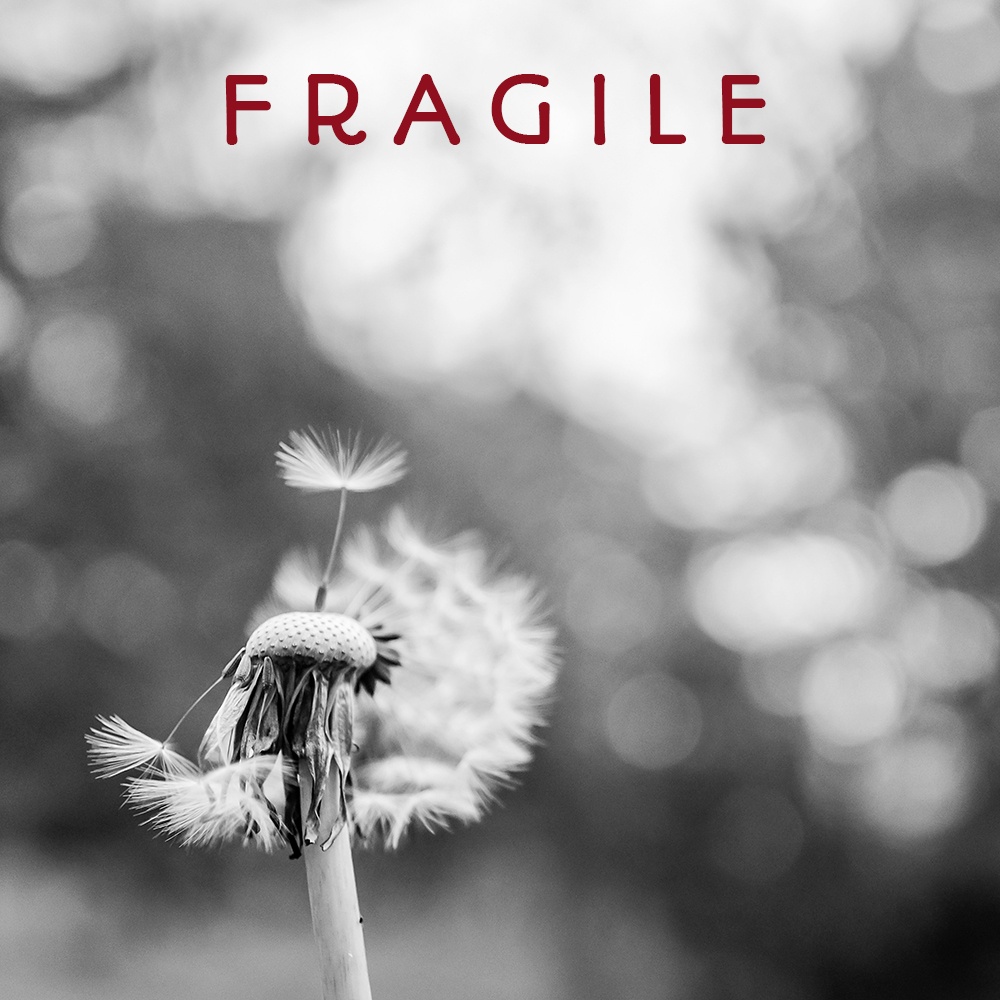 Fragile 2 EDIT artwork