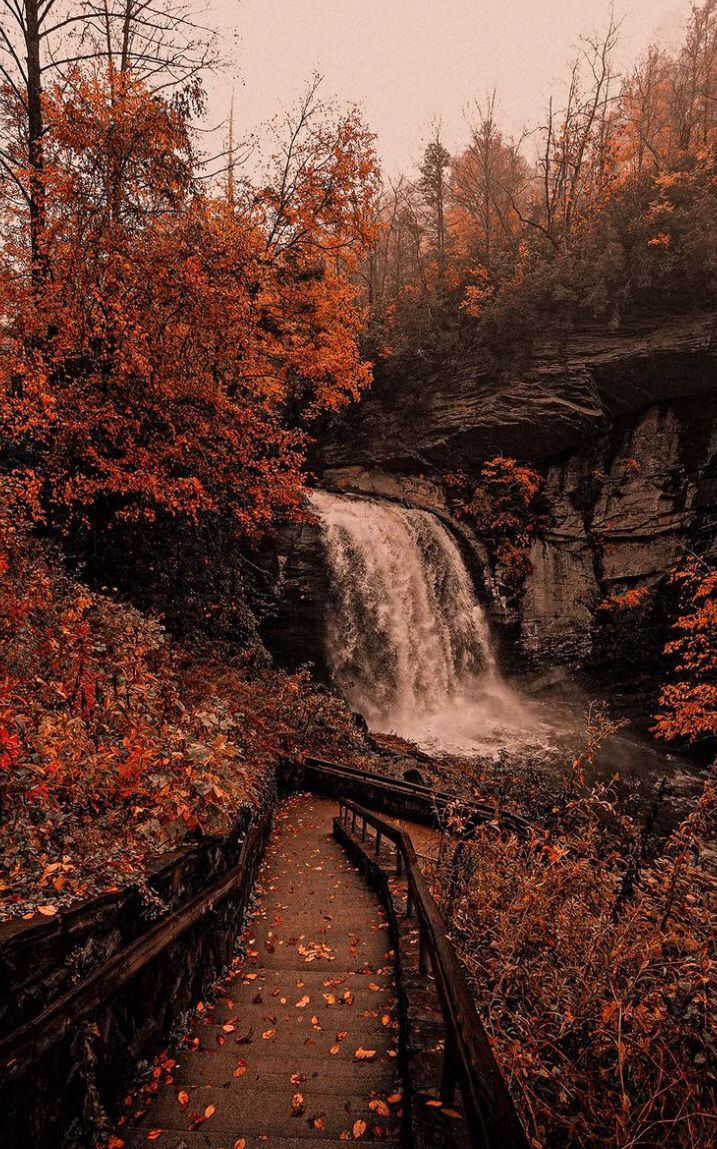 Image for Cozy Season🍂🤎