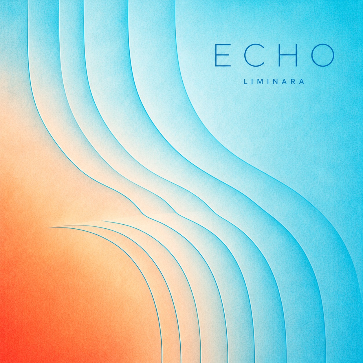 ECHO artwork