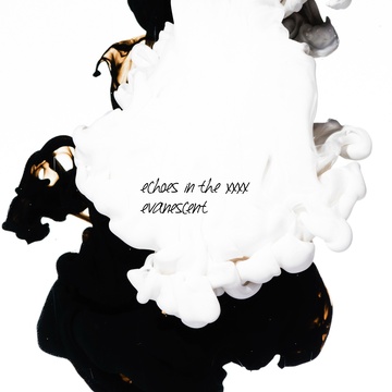 Image for evanescent - echoes in the xxxx