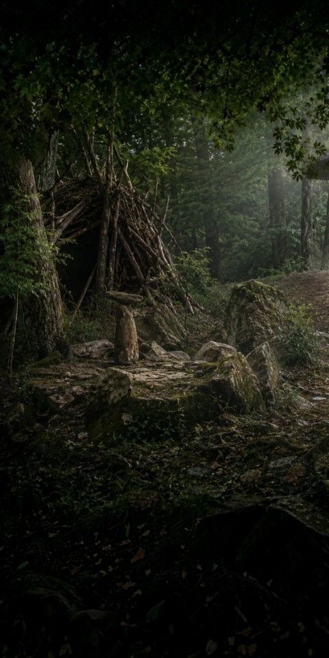 The Forest Remembers (Ліс пам'ятає) artwork