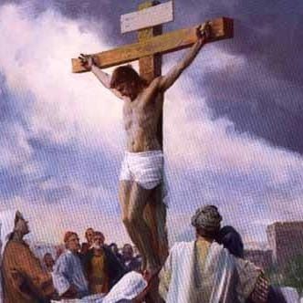 Image for Top 10 Highlights