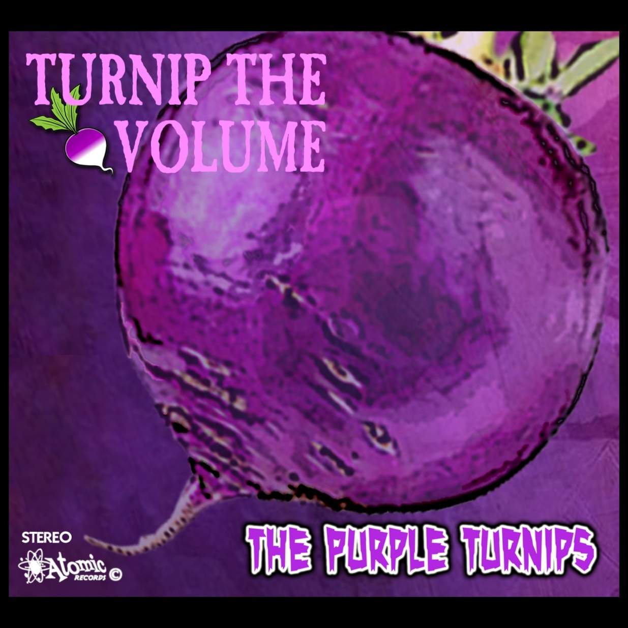 Image for TURNIP THE VOLUME: LIVE!