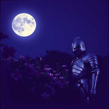 Image for Chansonnier d'amor e de mort: An AnthropoDigital Medieval Chansons Cycle 