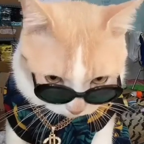 Image for I Like This Song