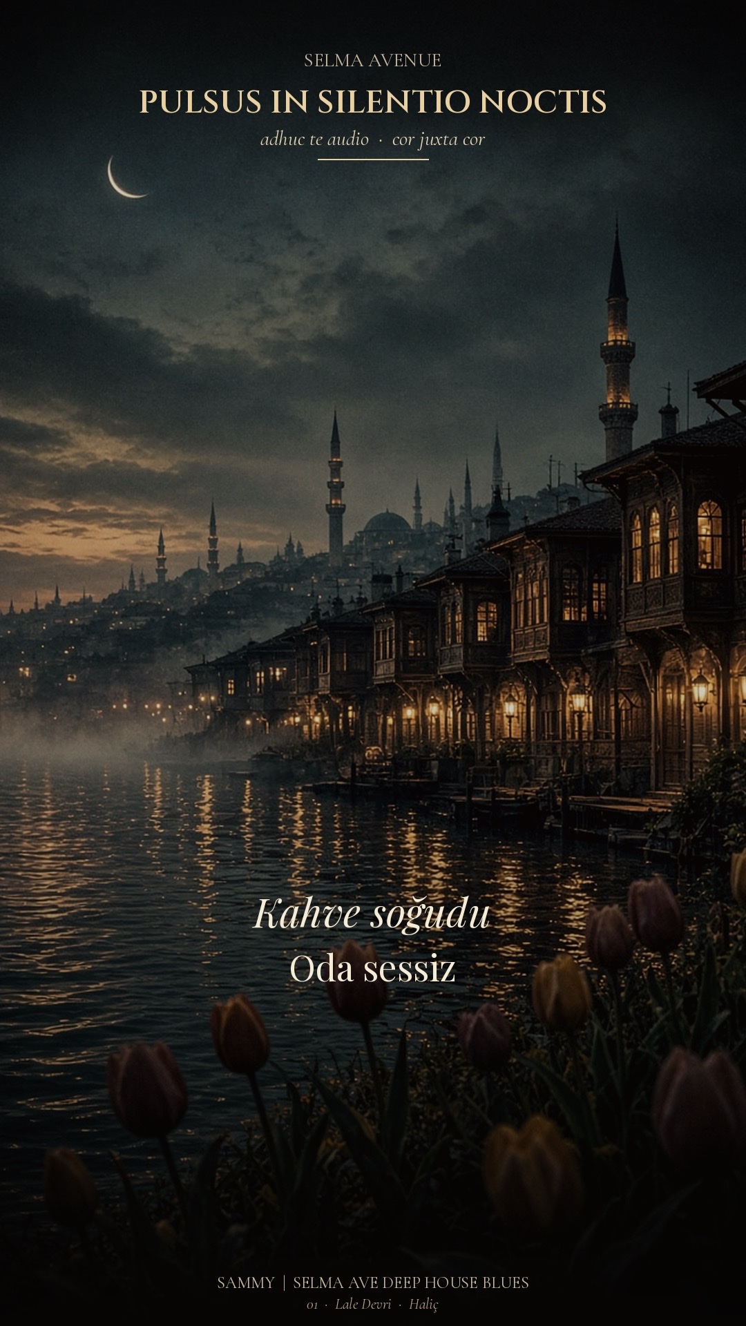 🔥🌙  🌺 Dök Zülfünü… 🌙 Meydâne gel.(Remastered) artwork